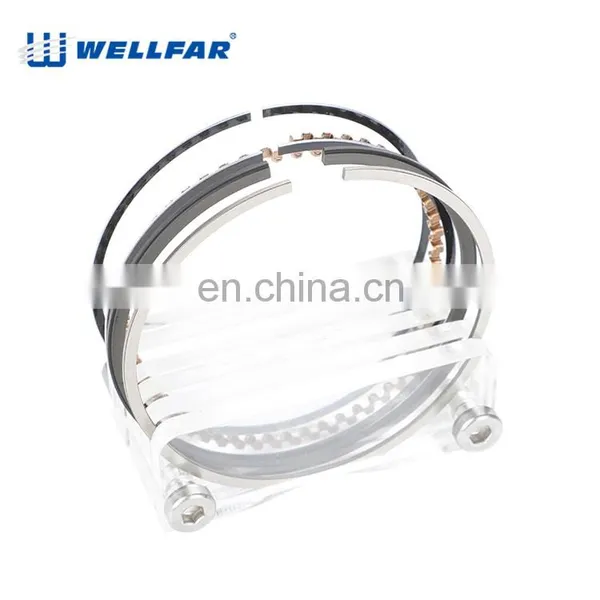 Wellfar High Quality Nitriding and Alloy 71mm Piston Rings Set For Kia Engine Preid photo-5
