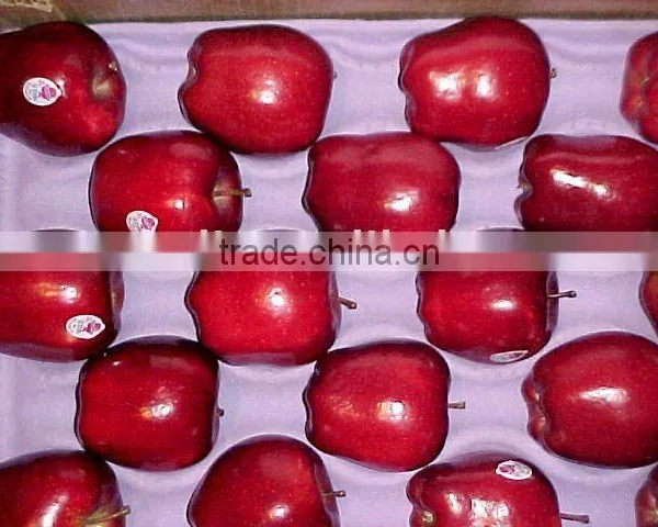 Red Delicious Apple/Huaniu Apple
