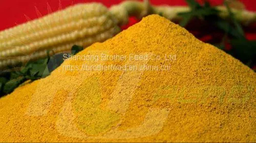Protein 60% Animal Feed Poultry Feed Additive Grade Corn Gluten Meal Corn Not Gluten Meal photo-2
