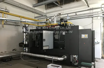 Flue Gas Waste Heat Recovery of Gas Generating Set photo-4