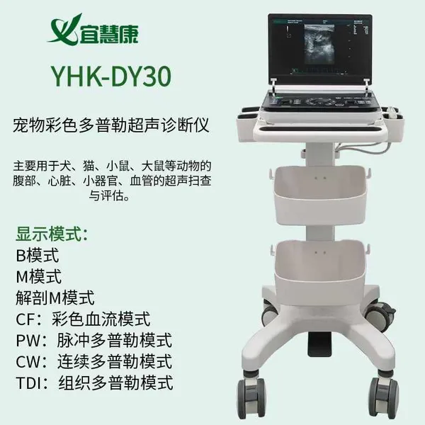 HJL-DY30 Professional Version of Small Animal Doppler Ultrasound Diagnostic Instrument photo-3