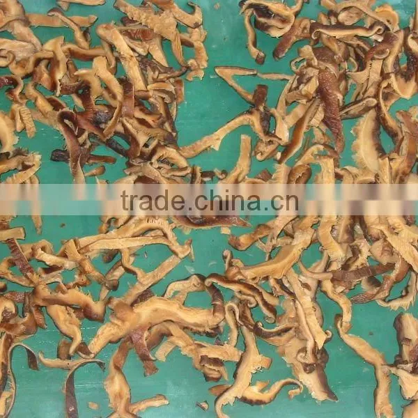 Mushroom Cutting Machine/Mushroom Cutter photo-6