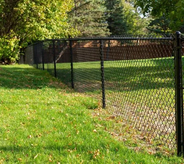PVC Coated Chain Link Fence for Playground & Sports Field Fencing photo-4