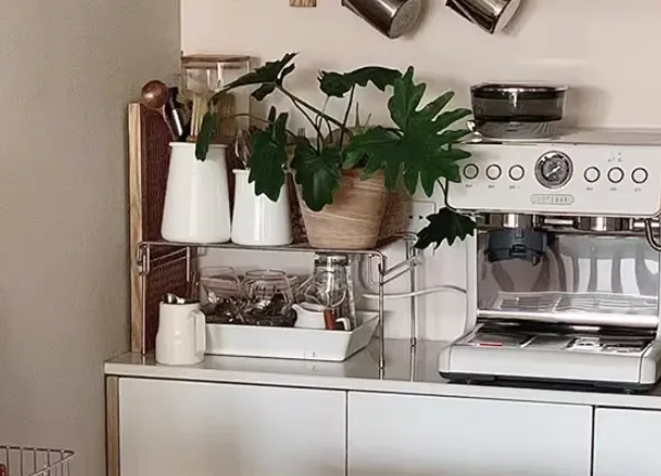 Automatic Coffee Maker with Programmable Timer and 24-Hour Warm Function