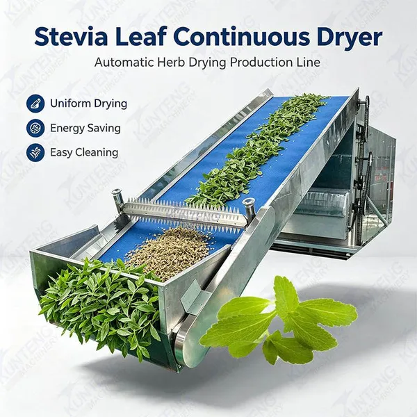 Automatische Stevia-Blatt-Trocknungsproduktionslinie, kontinuierlicher Trockner für Kräutpflanzen Stevia Rebaudiana, Entwässerungsmaschine EPC