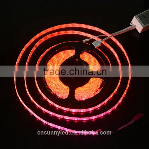 HOT Sales !!! SMD 5050 Waterproof 150leds/5 Meters 300 Leds/ 5 Meters Led Controller Flexible RGB Led Strip photo-6