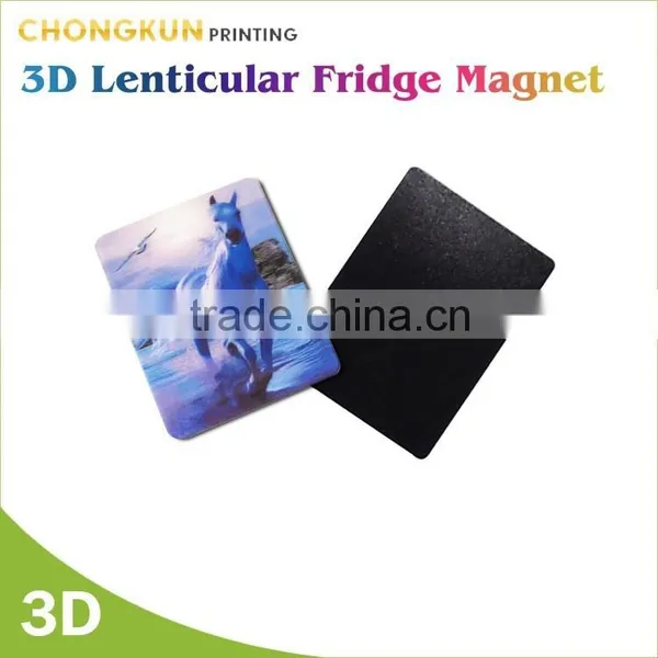 Fridge Magnet/Custom Fridge Magnet/Fridge Magnet Wholesale photo-3
