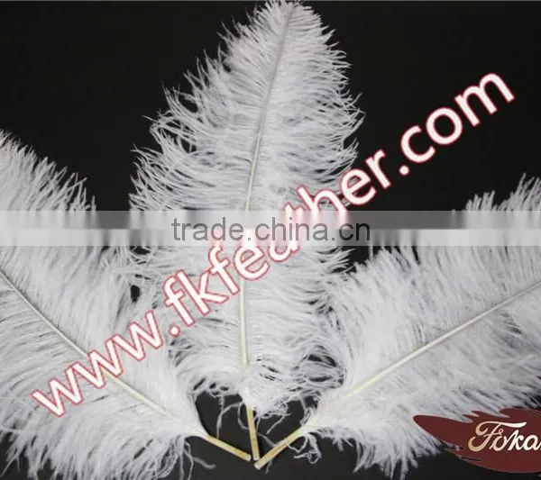 Large White Ostrich Feather Long 50cm-55cm Wedding And Stage Decorations photo-2