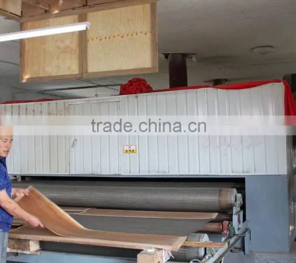 Mesh Veneer Dryer
