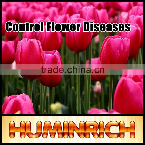 FAQ 10--Huminrich Potassium Humate Fertilizer For Garden photo-4