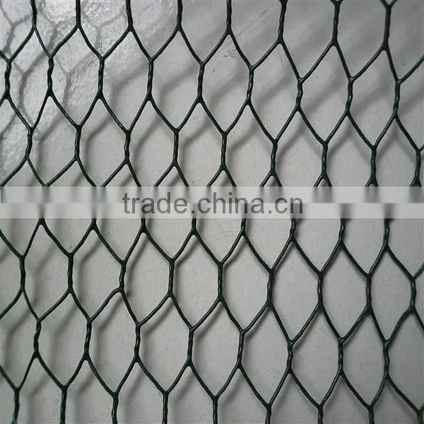 Hexagonal Wire Net Made in China Express photo-5