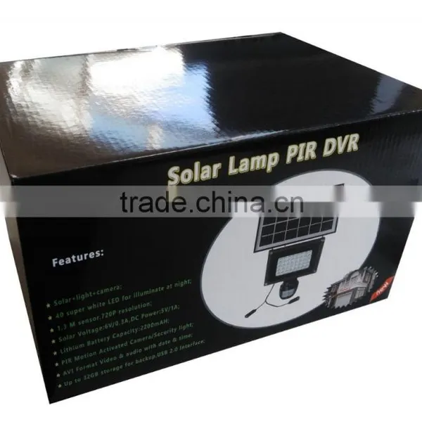 Solar Powered Motion Detection Hidden Security Lighting Camera photo-2