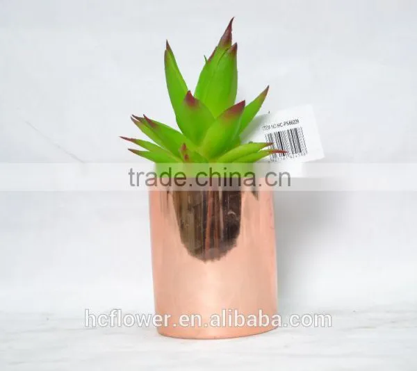 Real Touch Succulent With Round Pot for Decoration