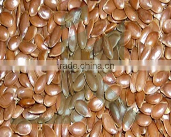 LINUM USITATISSIMUM