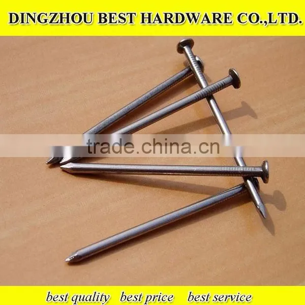 Polished Common Iron Nail photo-4