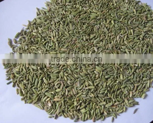 Fennel Seed