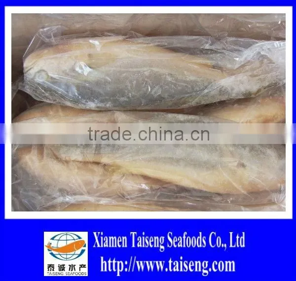 Frozen Big Size Farm Raised Yellow Croaker photo-6