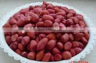 Red Skin Peanuts in Shell 50/60 40/50 , EU Standard photo-2