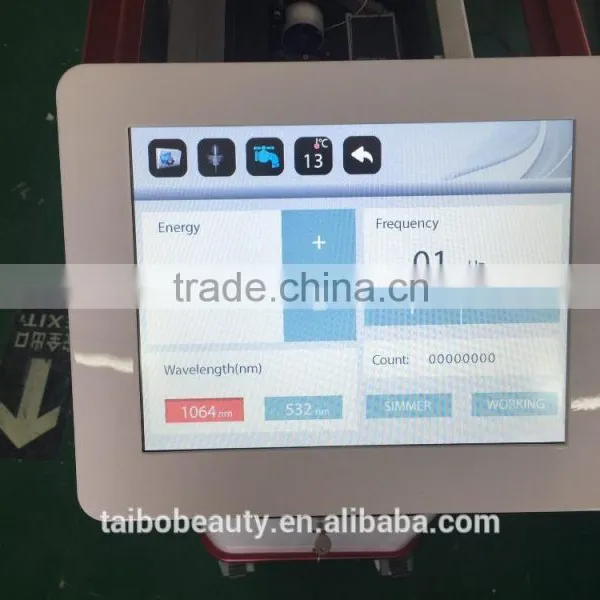 in Spanish Wholesale Tattoo Removal Yag Laser q Switched nd Yag Laser/tattoo Aesthetic Laser photo-5