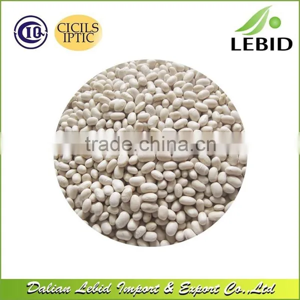 Chinese Wholesale White Kidney Beans In Stock