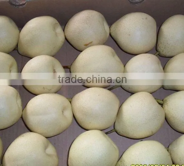 Fresh ya Pear Asia Pear With Cheap Price photo-3
