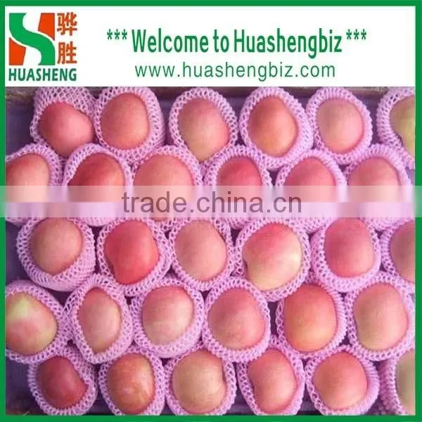 China 9kg-20kg Carton Fresh Fuji Apple photo-3