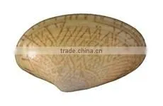 Yellow Clam (Paphia Undulata)