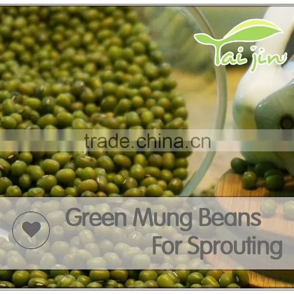 High Quality Green Mung Bean Sprout,grade a Green Mung Bean Price photo-3