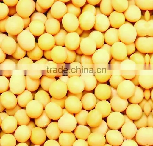 Grain Cleaning Machine/soybean Washing Machine photo-5
