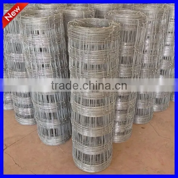 DM Hot Sale HDG High Quality Field Fence ( Anping Factory ) photo-4