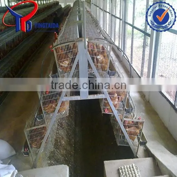 Anping Layer Chicken and Broiler Chicken Cage Factory photo-2