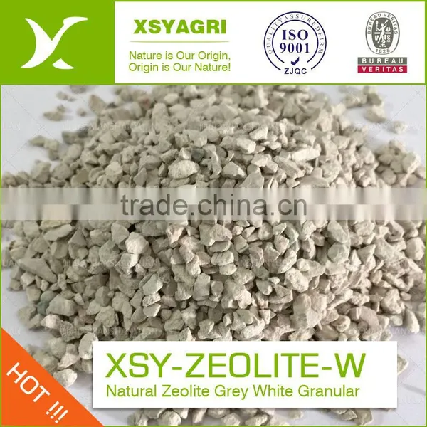 Clinoptilolite High CEC Green Nature Zeolite for Water Treatment photo-4