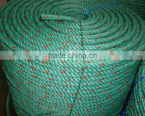 China Professional Leading Manufacturer PP Rope photo-5