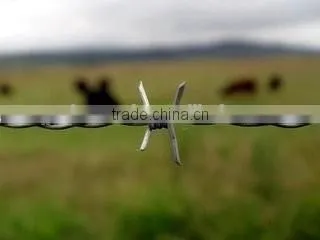 ISO 9001 Standard Low Price Concertina Razor Barbed Wire ( Factory ) photo-4