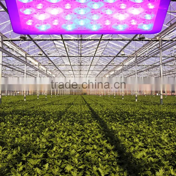 Plant Grow Light for Flowering Plant Vegetables, Energy Saving Downlight Plant Light for Indoor Hydroponic Garden Greenhouse photo-3