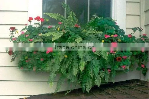 SOL Factory Price Garden Decor Cheap Plastic Pot Plant Container photo-6