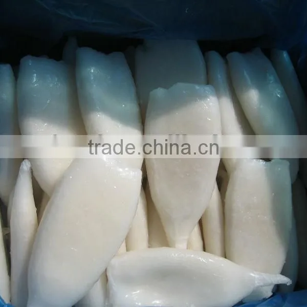 Frozen Squid Tubes Seafood Aquatic Products