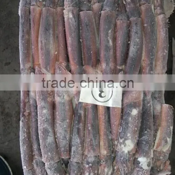 150-200g Frozen Illex Squid photo-4
