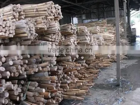 Raw Rattan Cane, Rattan, Cane, Rattan Meterial, Raw Material, Rattah Raw Mateiral, Rattan Cane photo-5