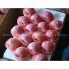 Qinguan Apples