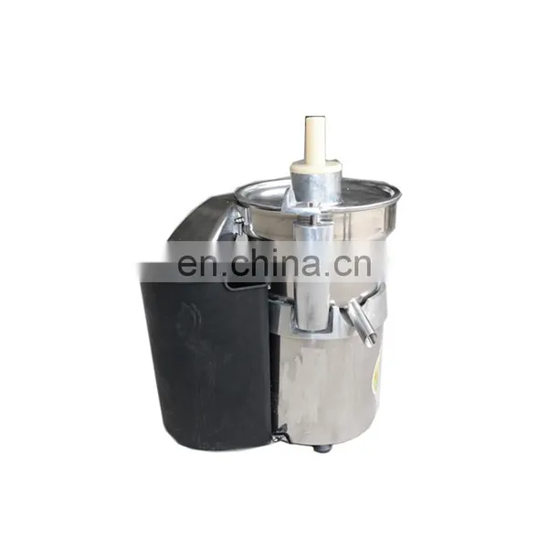 Industrial Carrot Vegetable Juicer Machine Radish Fruit Extractor photo-6