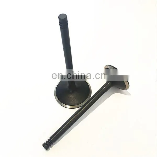 2 Stroke Locomotive Diesel Parts Engine Valves for EMD 710 265 645 567 1010 photo-6