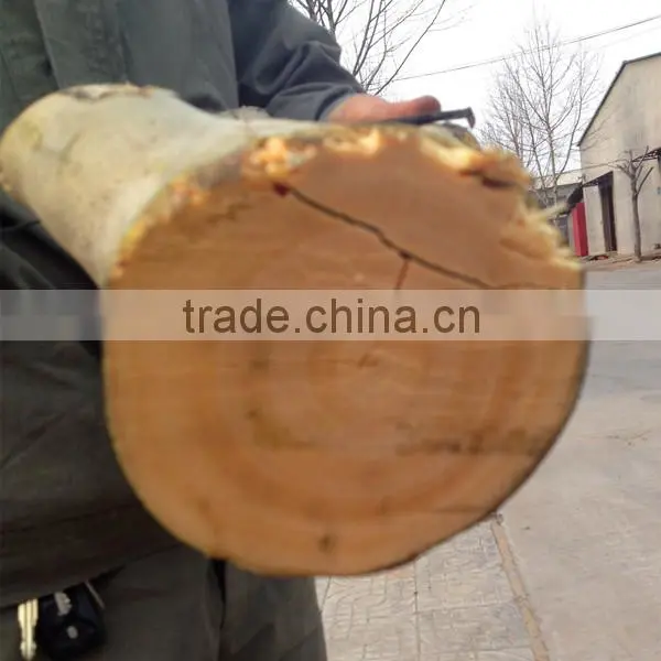 Runshine Since 1989 DWC22 Tree Branch Wood Chipper Shredder photo-5