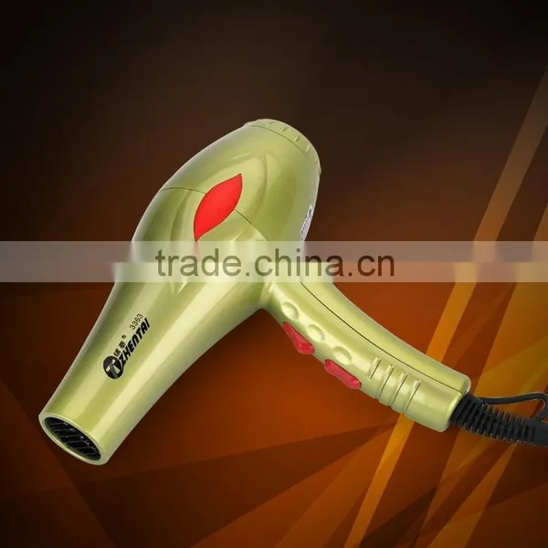 Johnson Motor Hair Dryer Household Hair Dryer Hair Dryer Supplier on photo-3