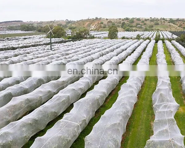New Hdpe Cheap PE Anti-hail Net Agriculture Mesh Net Plant Bee Netting photo-2