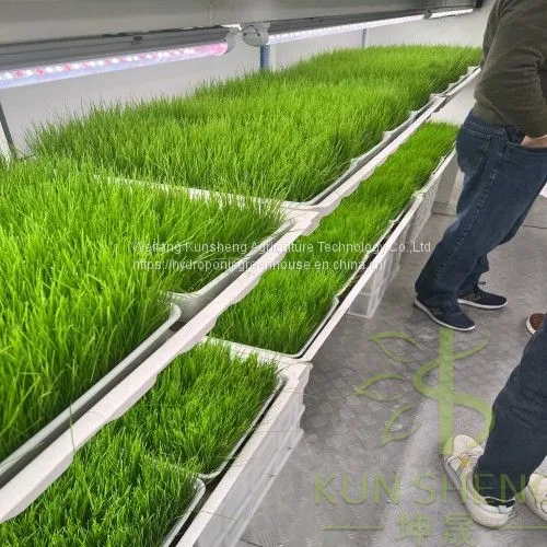 Hydroponic Fodder Container Farm photo-2