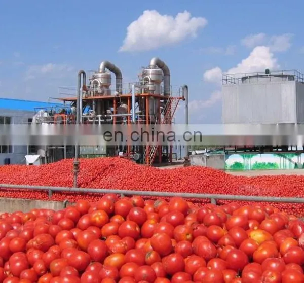 Factory Genyond Small Tomato Paste Ketchup Chill Pepper Sauce Fruit Jam Making Machine Production Line Processing Plant photo-5