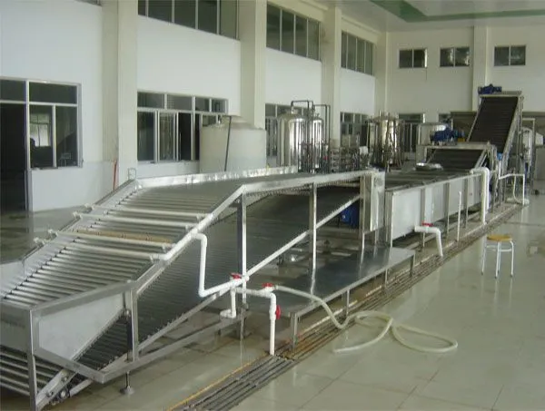 Indrustiral Lychee Fruit Juice Litchi Juice Powder Production Machine Processing Line photo-2