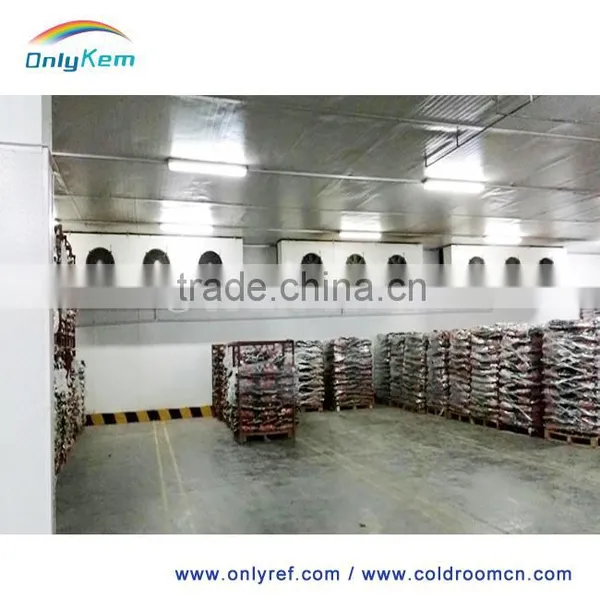 Walk in Blast Freezer for Fish Beef Chicken photo-4
