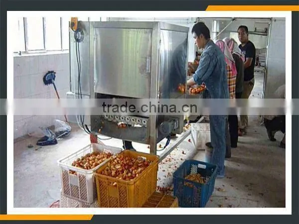 Leader Cherry Stoning Machine With Website:leaderservice005 photo-5